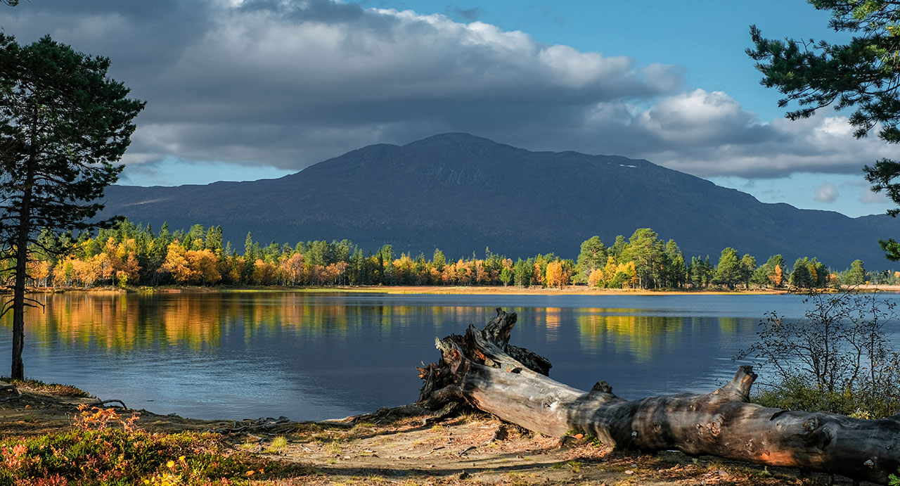 Красивый пейзаж с природой