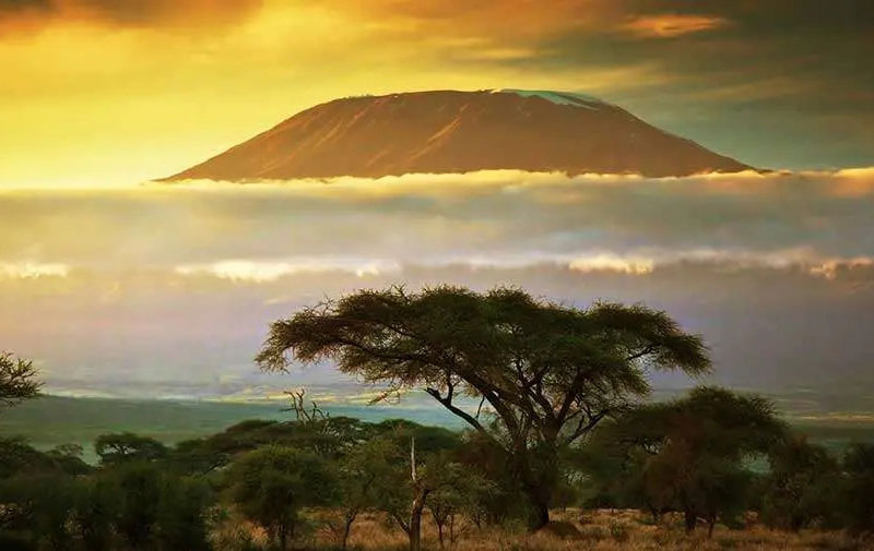 Килиманджаро